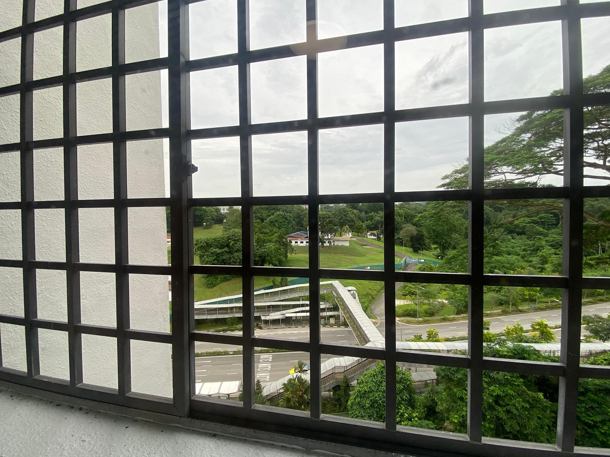 Pine Grove - 套间 4